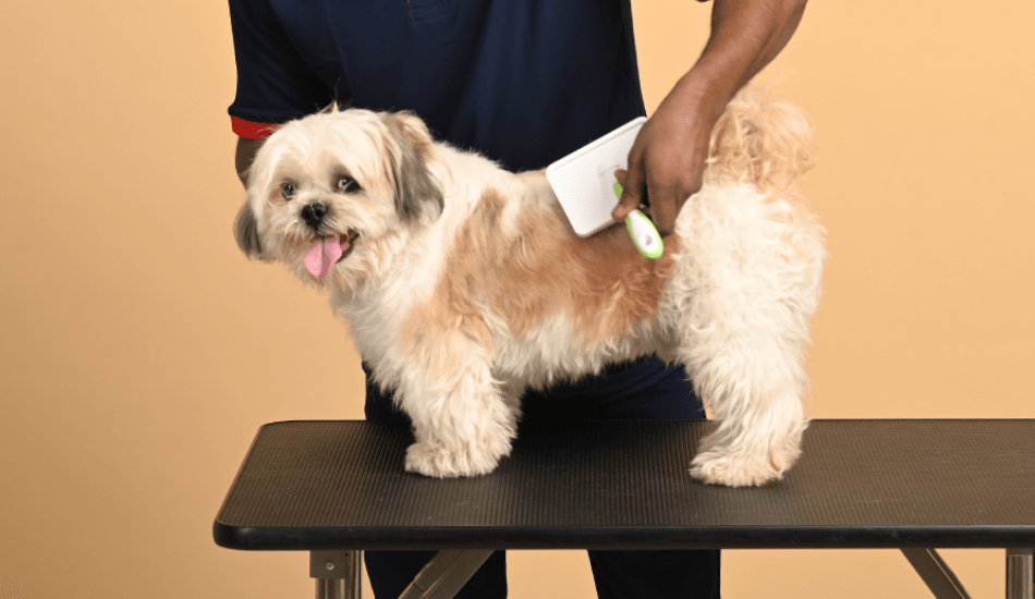 Barkers Den Pet Gromming